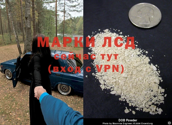 эйфоретик Арсеньев