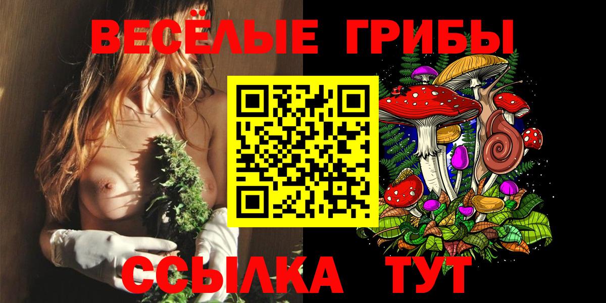 Псилоцибиновые грибы GOLDEN TEACHER Советская Гавань