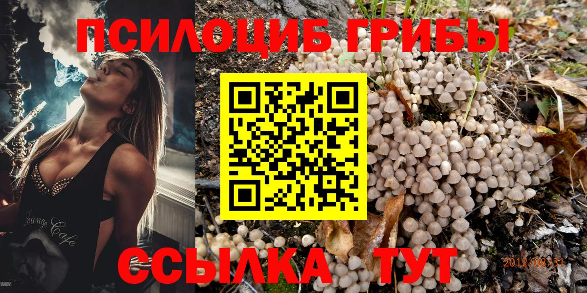 Псилоцибиновые грибы прущие грибы  Вход с VPN  Советская Гавань 